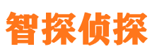 古城市私家侦探